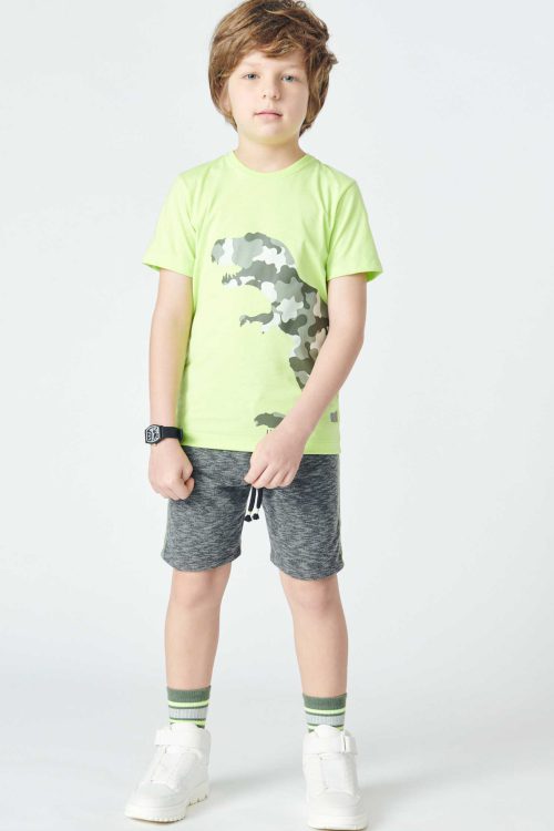 Conjunto Dino boys